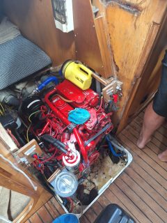 Black Slugs in My Diesel Tank